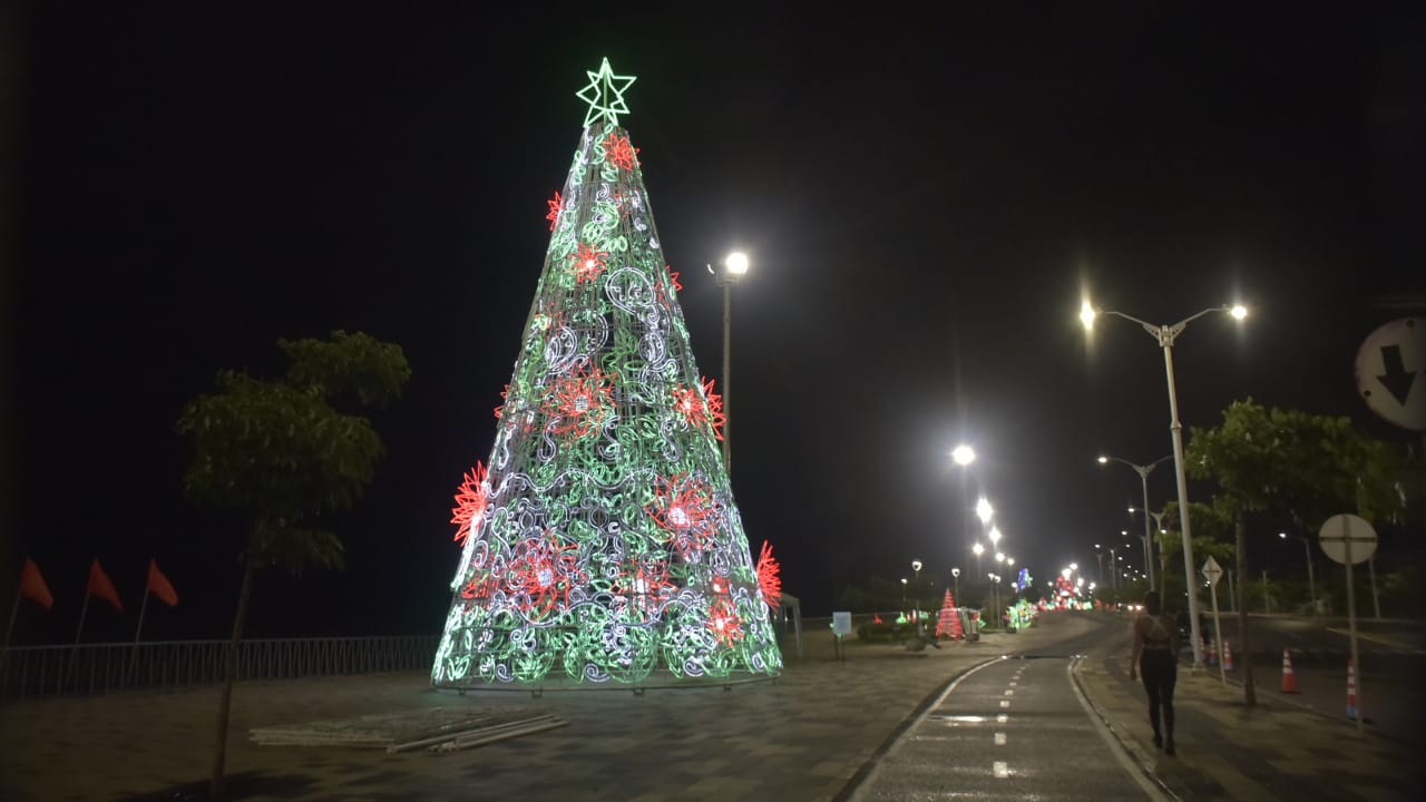 Árbol navideño iluminado.