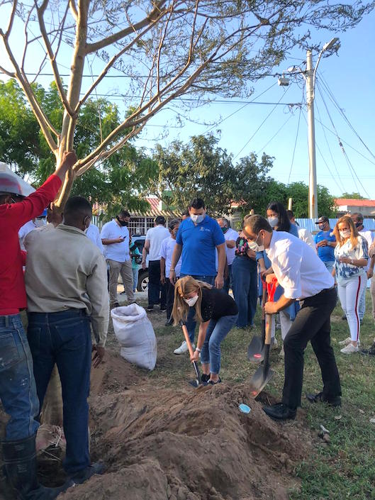 La siembra del árbol.