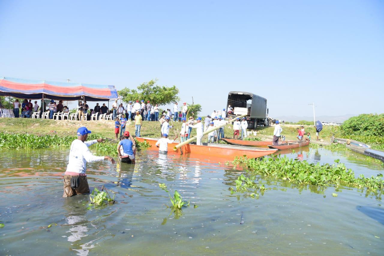 Liberación de 300 mil peses en el embalse del Guájaro. 