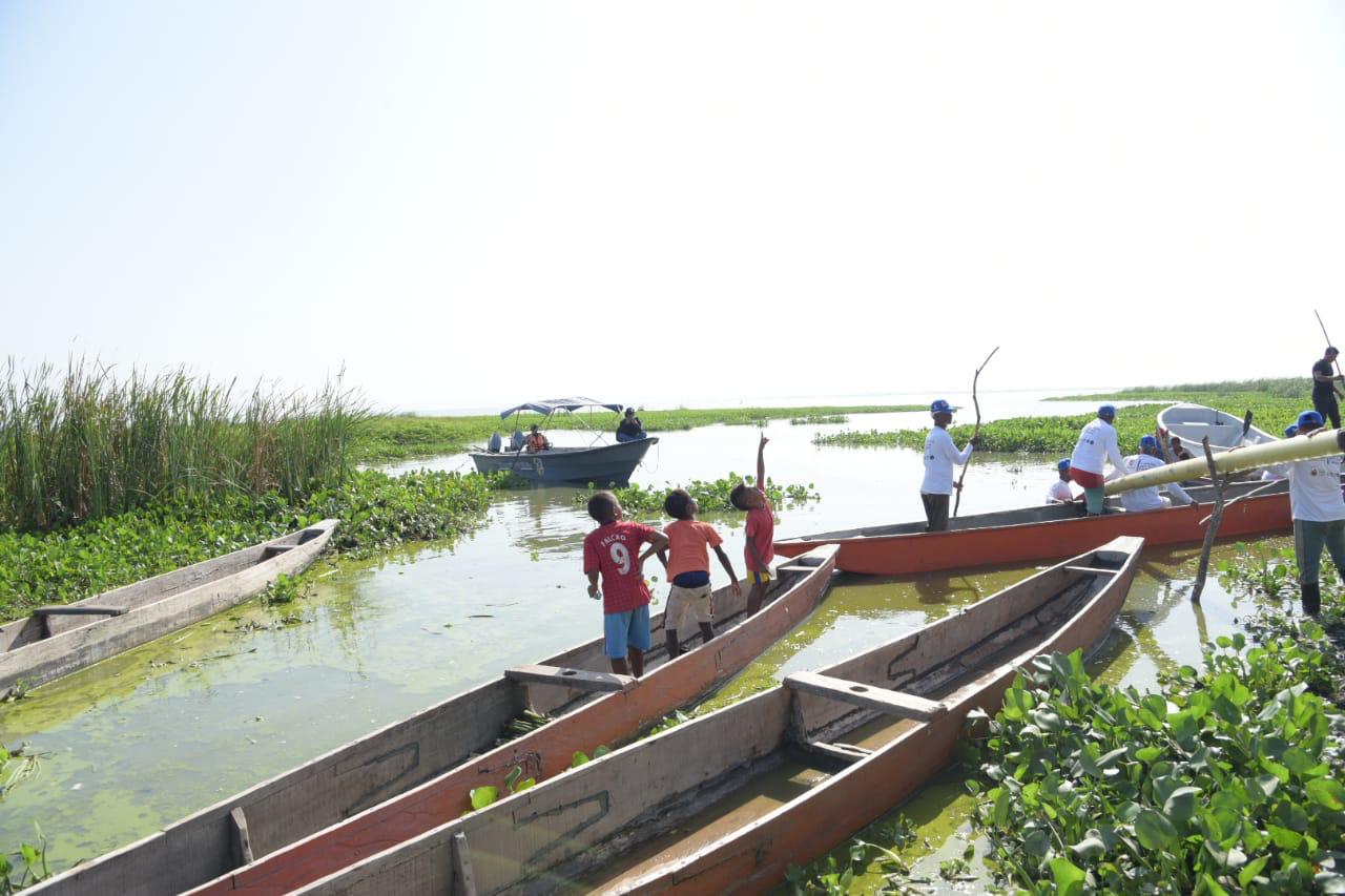 Liberación de 300 mil peses en el embalse del Guájaro. 