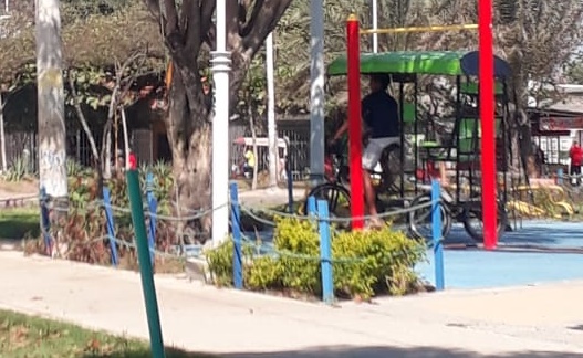 El conductor de este bicitaxi desplazándosede manera irresponsable dentro del parque.