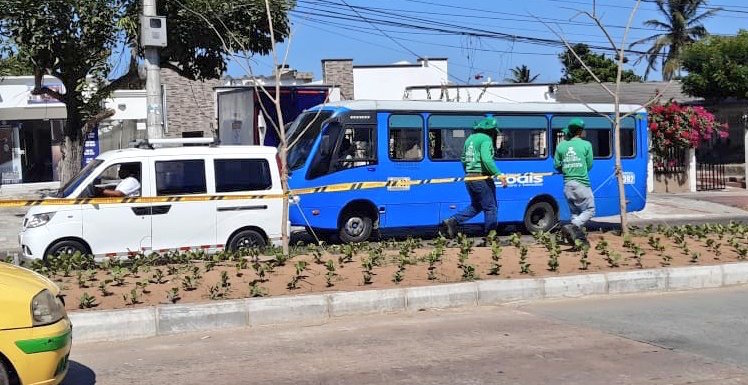 El objetivo es preservar la vegetación que se está recuperando.