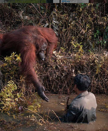 En Instagram, el fotógrafo Anil Prabhakar publicó este registro.