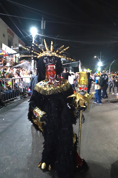 ‘Gorila de Fantasía’, el Mejor Disfraz iluminado.