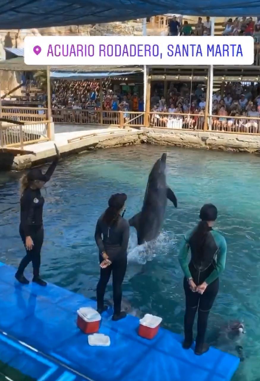 Visita al Acuario en Santa Marta.