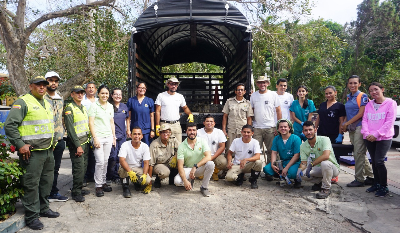 Grupo de rescate del caimán aguja.