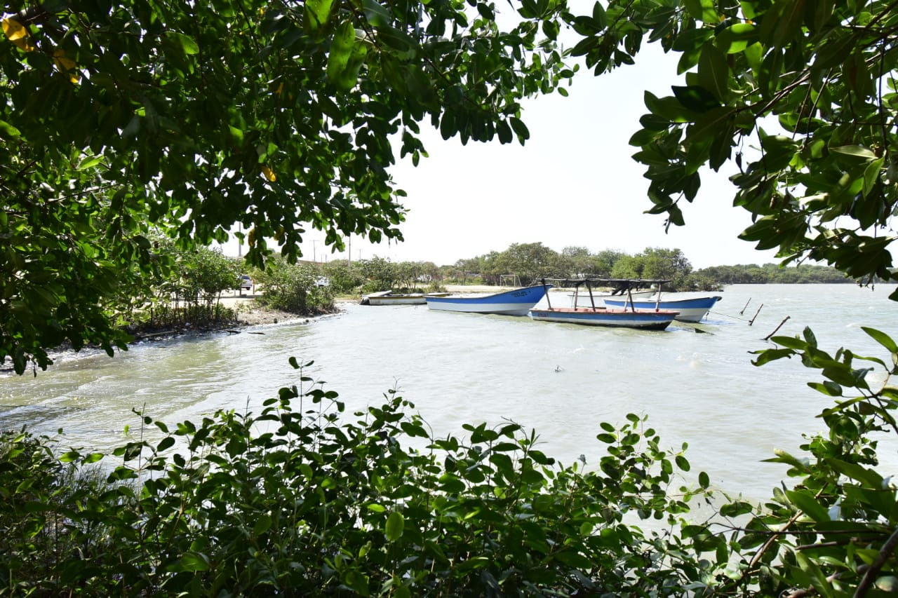 Ciénaga de Mallorquín.