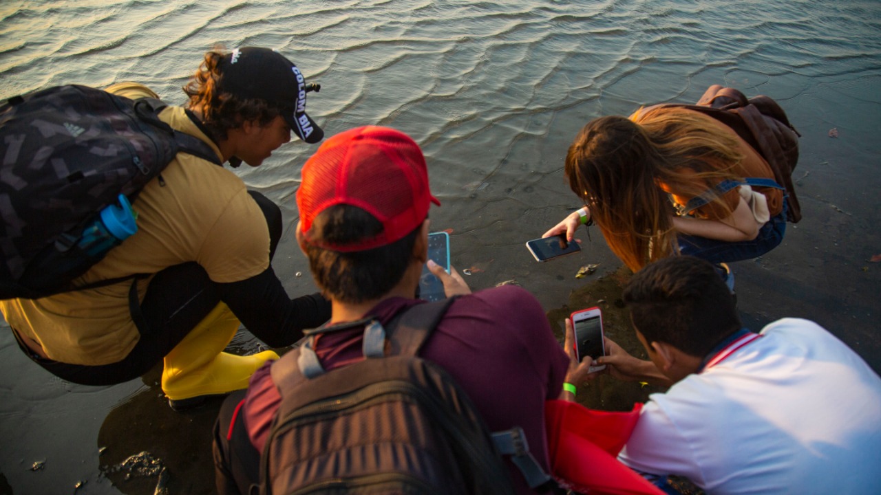 Participantes reconociendo especies en su ecosistema.