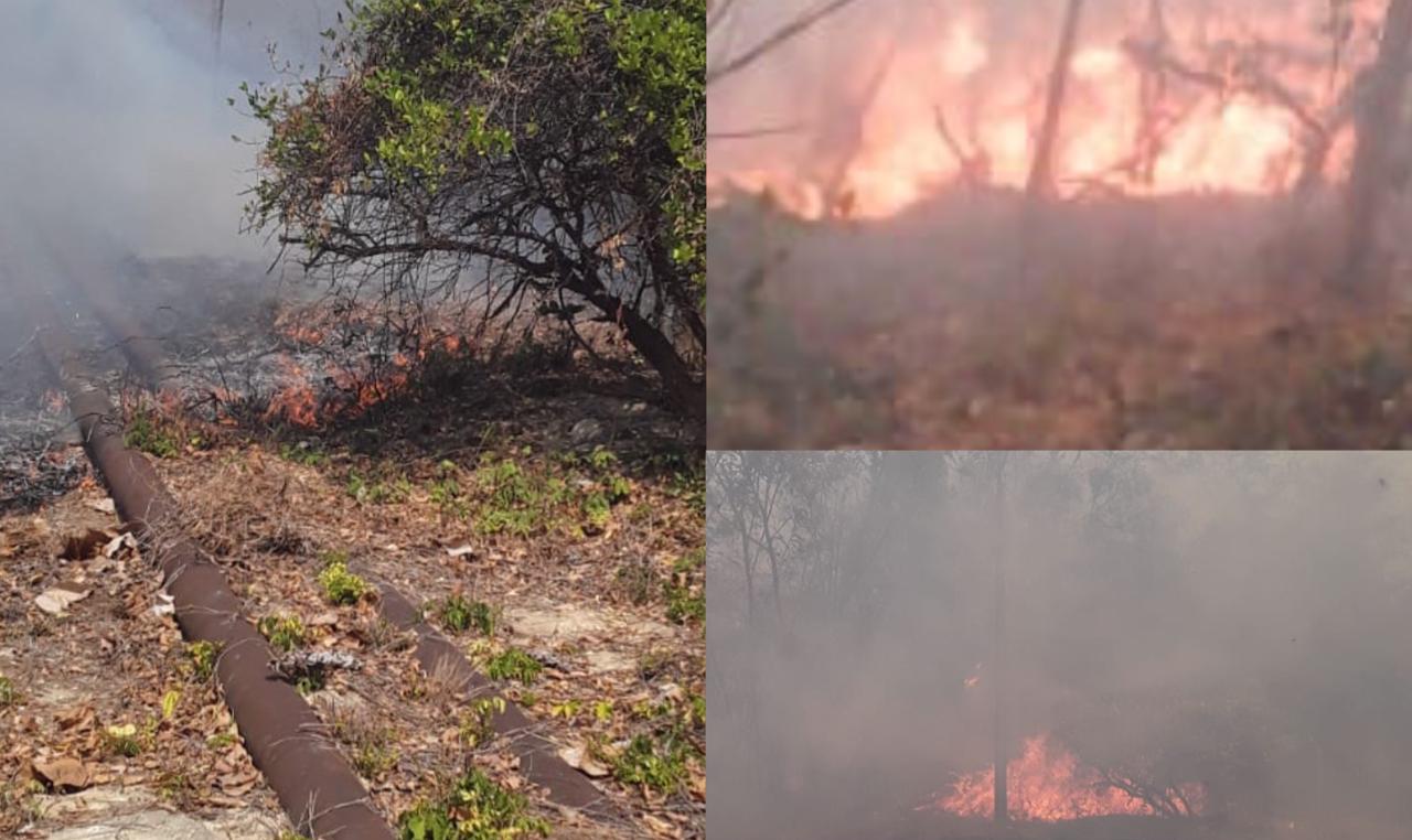 El incendio forestal en Maicao.