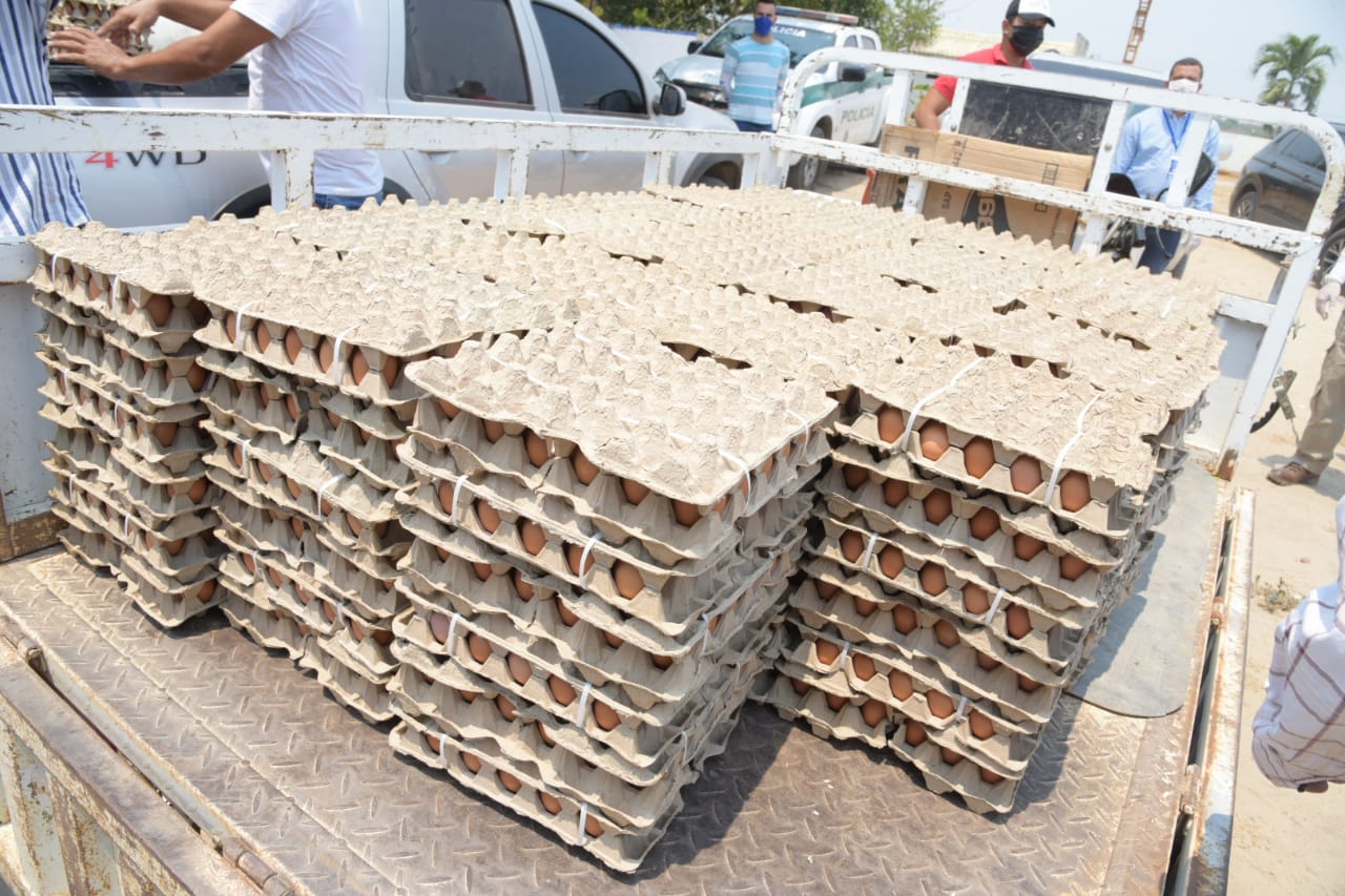 Twitter Elsa Noguera