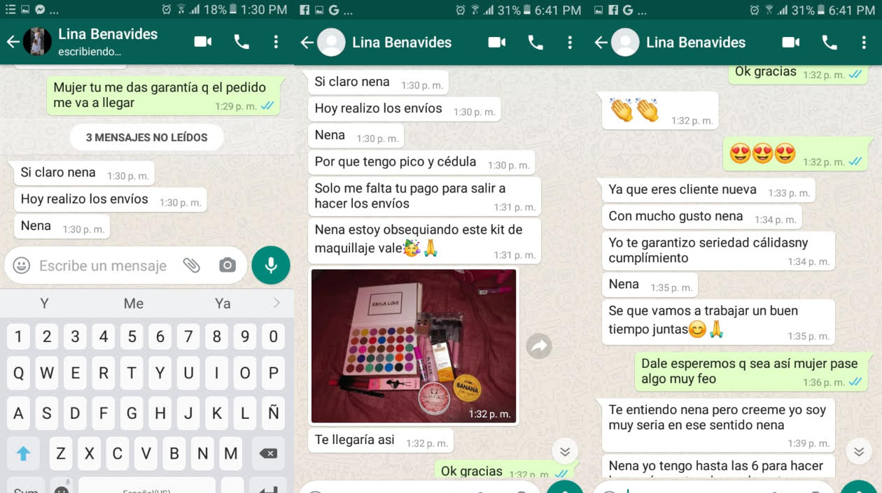 Chat de estafador con una de sus víctimas.