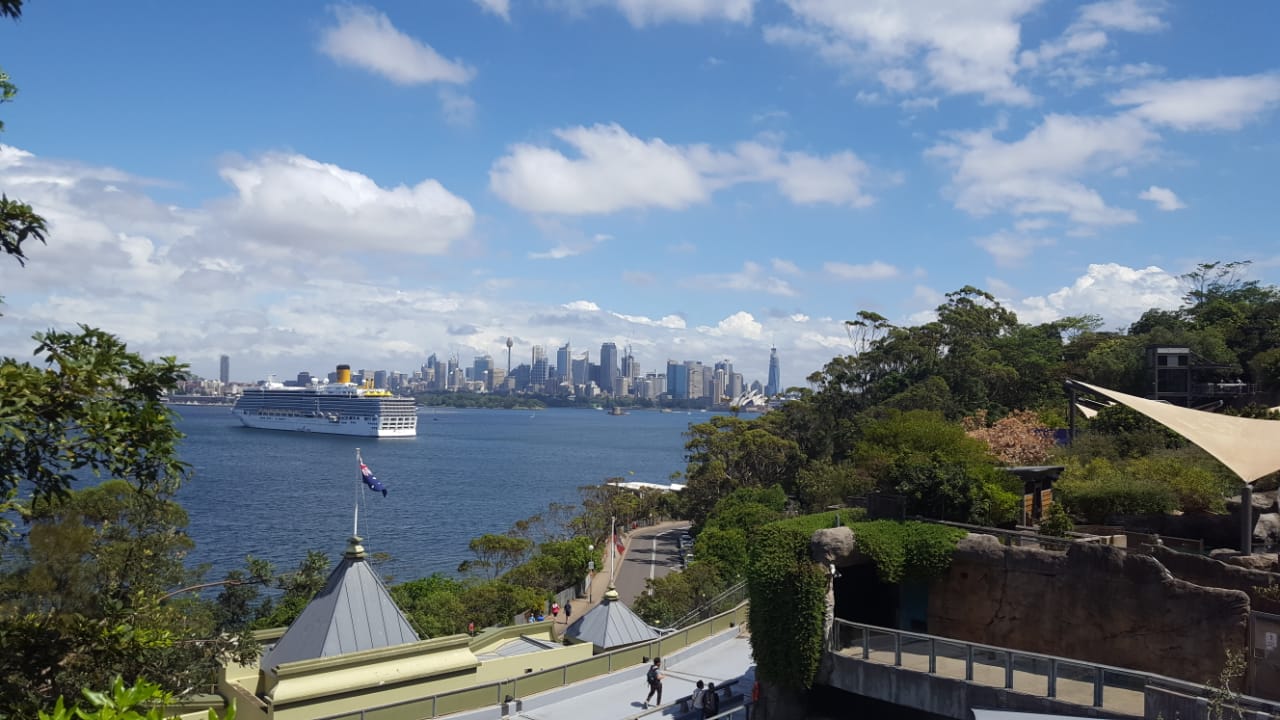 Albany, Australia, la última ciudad en la que pudieron desembarcar en modo paseo. Después, todo empeoró por la expansión mundial del coronavirus.