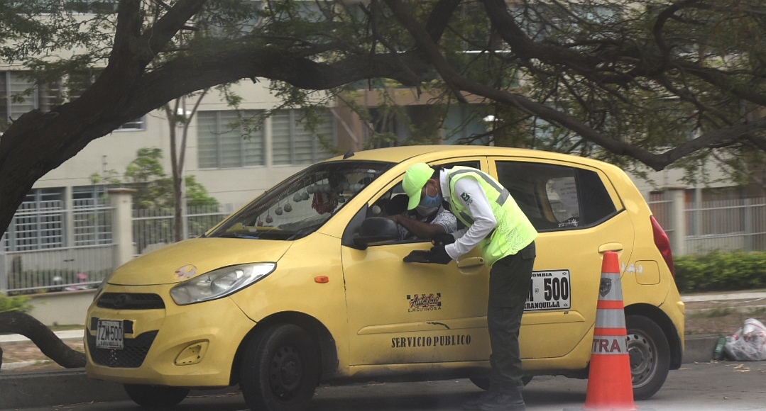 Guías de movilidad presentes en las acciones preventivas.