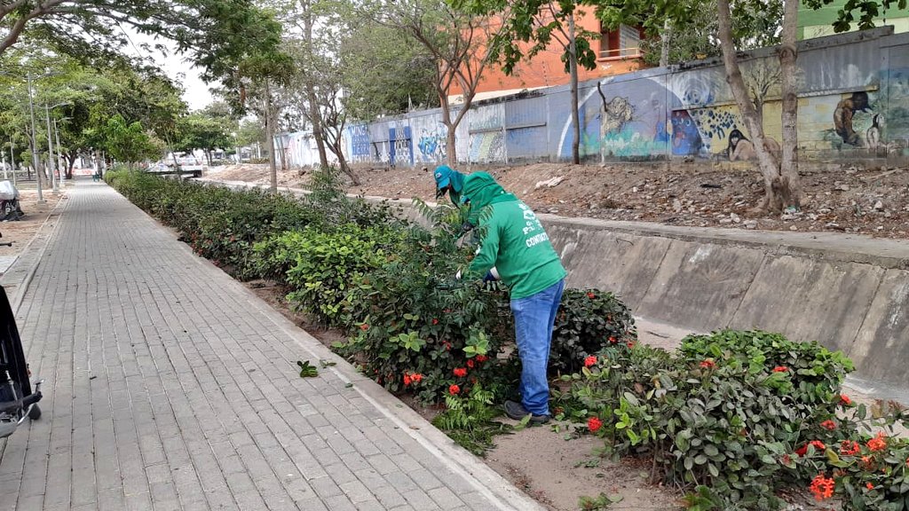 Los guardaparques se dedican a podar los jardines que se encuentran alrededor del arroyo Girasoles.