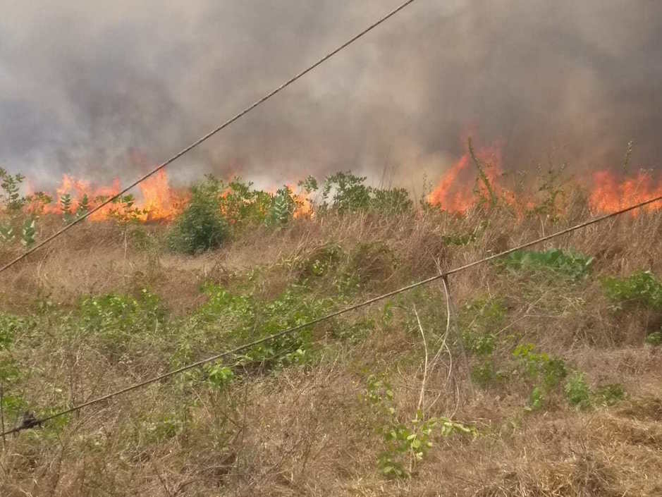 El fuego consumiendo la zona.