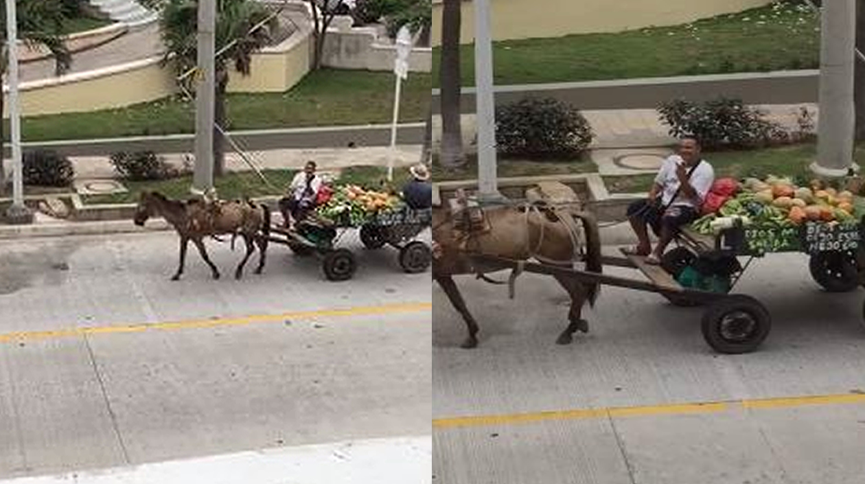 Cortesía. Vendedor de frutas sin las medidas de bioseguridad.
