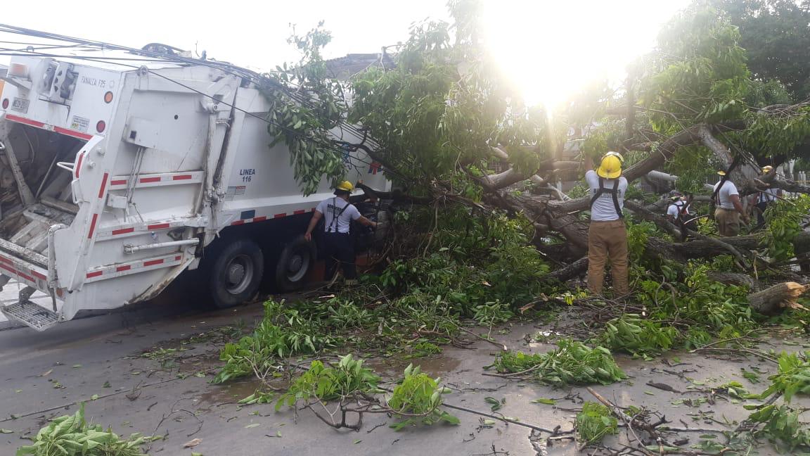 La movilidad en la zona estuvo restringida.