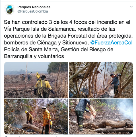 Parques Nacionales anunciaron que faltaba un foco del incendio por controlar.