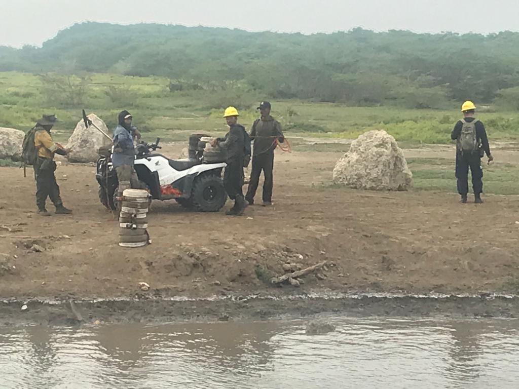 Equipos de trabajos en el Parque Isla Salamanca.