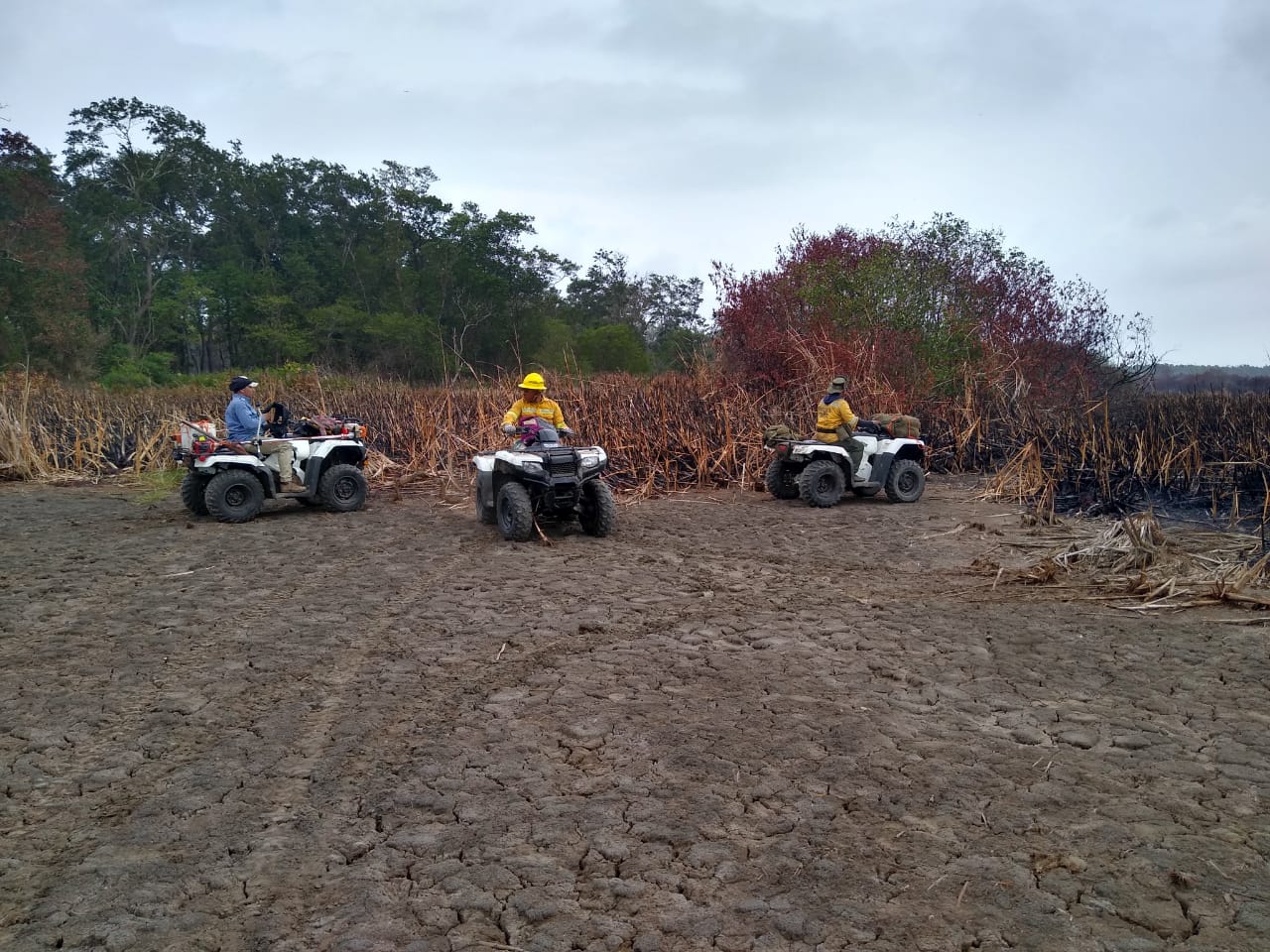 Operativo terminó de sofocar Parques Nacionales.