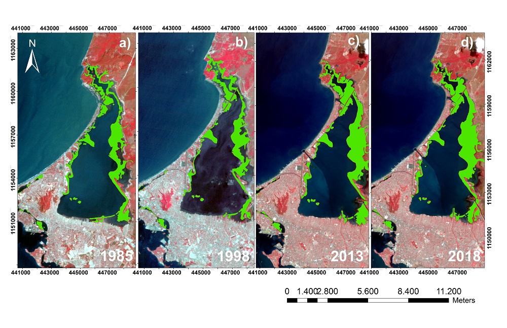 Evolución del bosque de manglar en la Ciénaga de La Virgen: (a) 1985, (b) 1998, (c) 2013 y (d) 2018.
