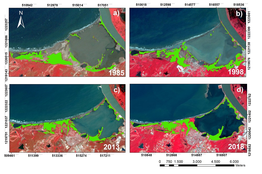 Evolución del bosque de manglar en la Ciénaga de Mallorquín: (a) 1985, (b) 1998, (c) 2013 y (d) 2018.