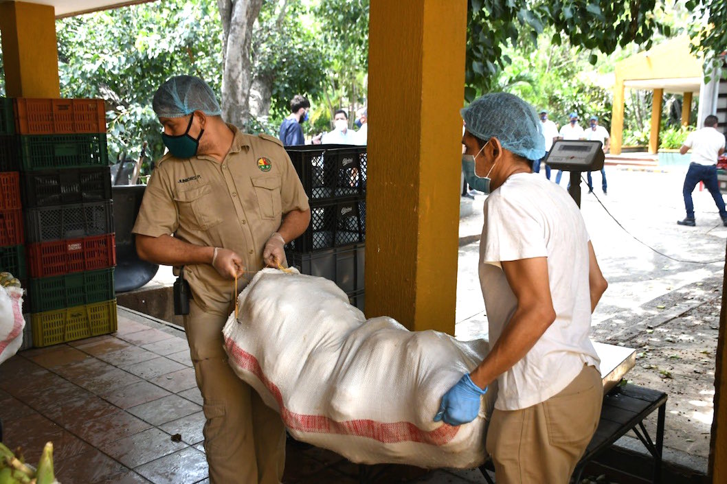 Personal del Zoológico recibiendo los alimentos para los animales.