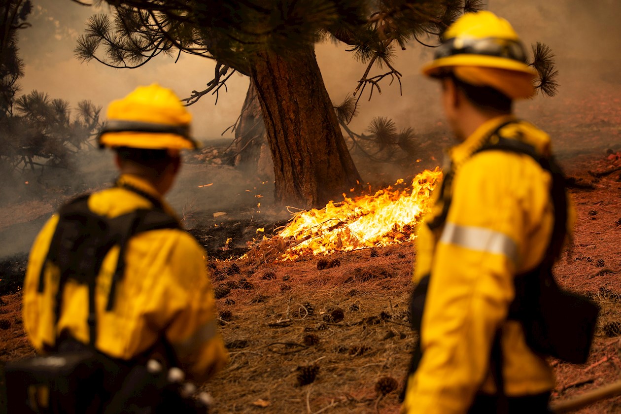  El presidente de EE.UU., Donald Trump, tiene previsto visitar California este lunes para informarse "in situ" de la situación en la lucha contra los fuegos.