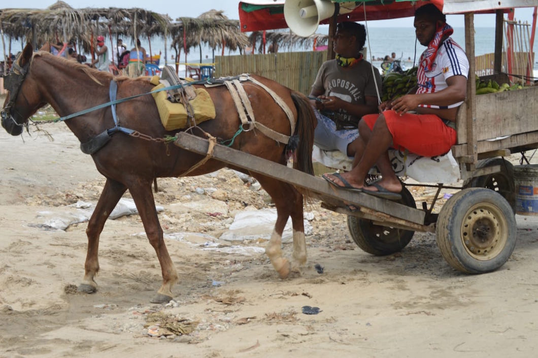 Carromuleros paseándose por las zonas de playas sin elementos de bioseguridad.