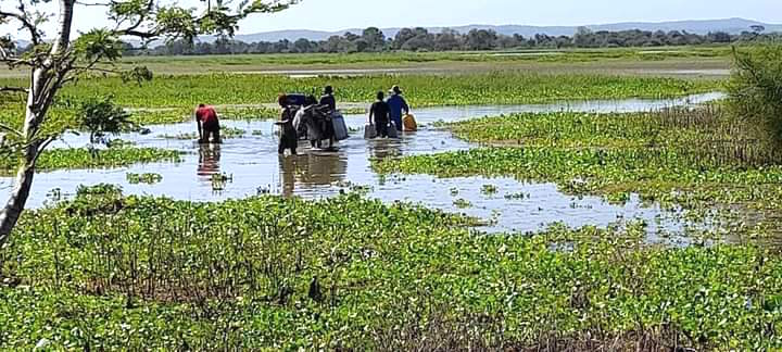 El único recurso con el que cuentan los habitantes: abastecerse de agua de mala calidad.