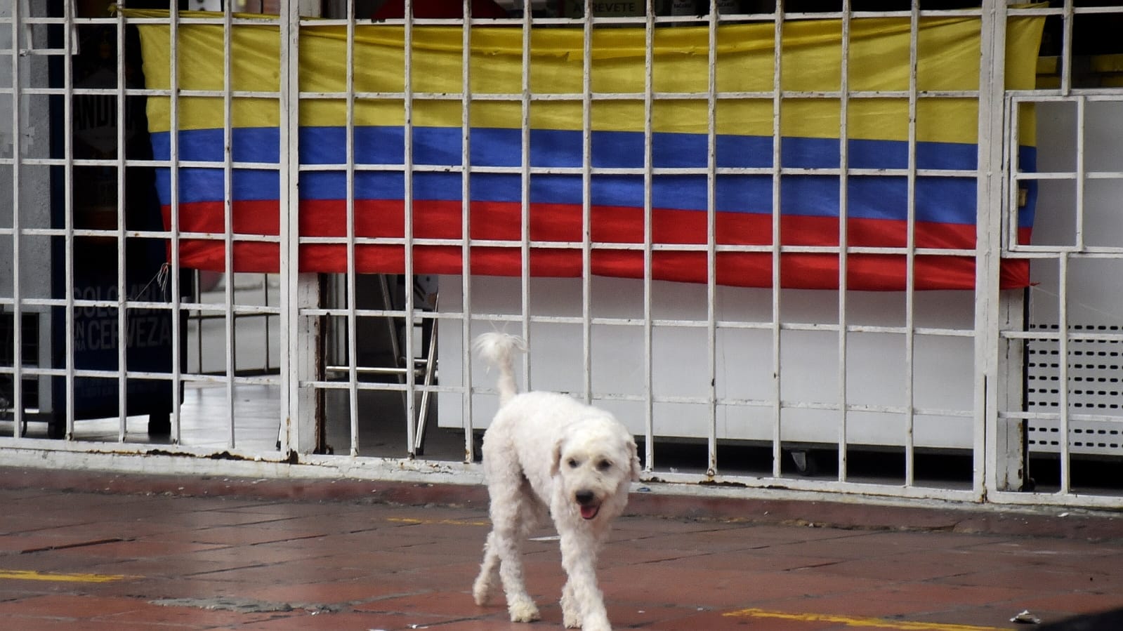 Ambiente