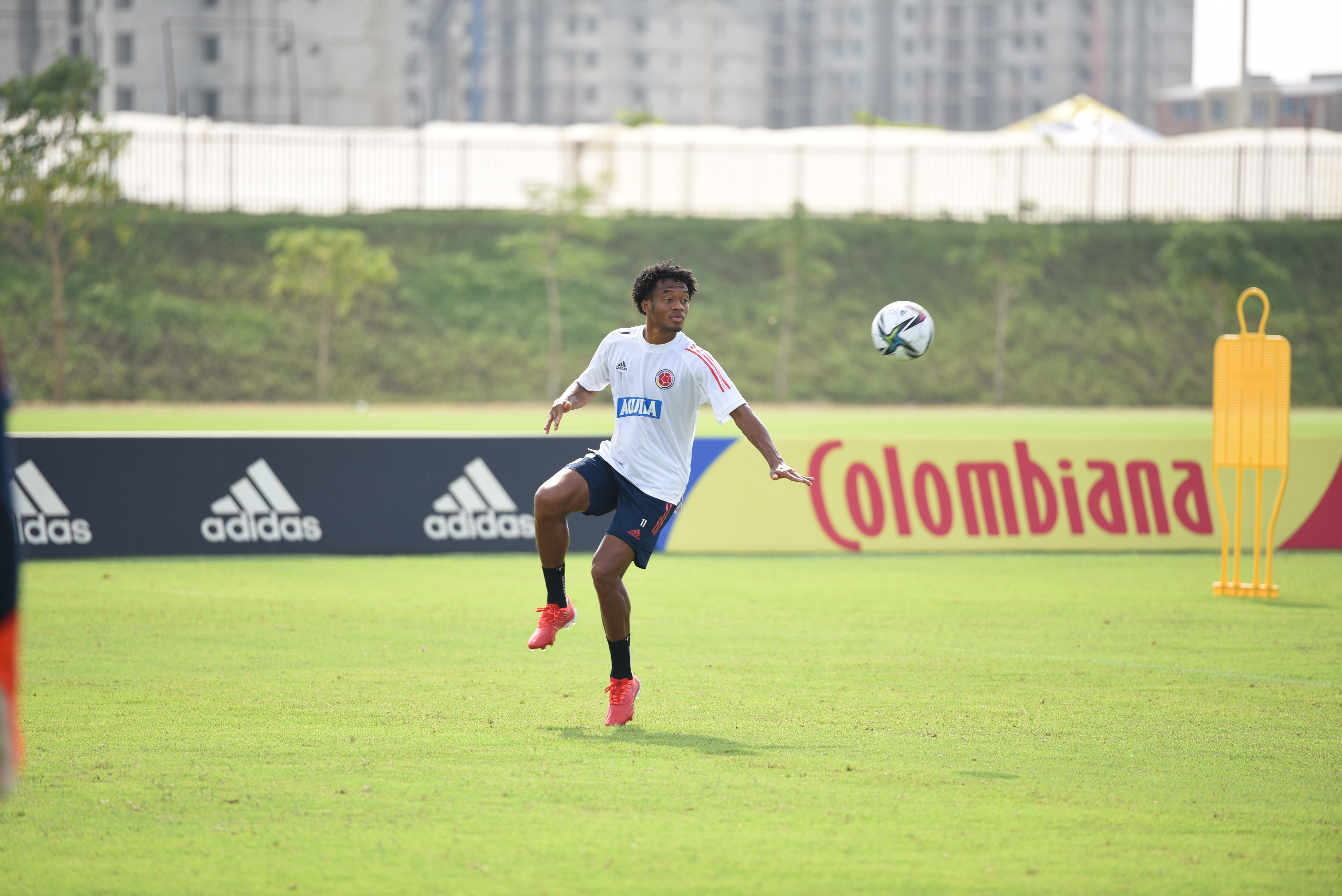 Juan Guillermo Cuadrado. 