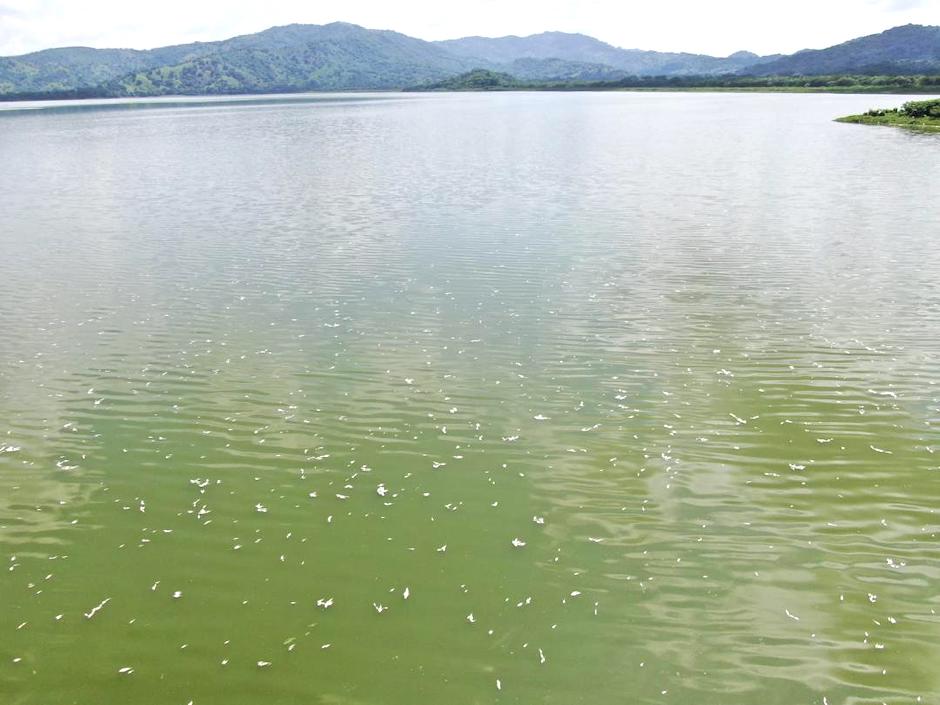 Área afectada en la ciénaga de Luruaco.