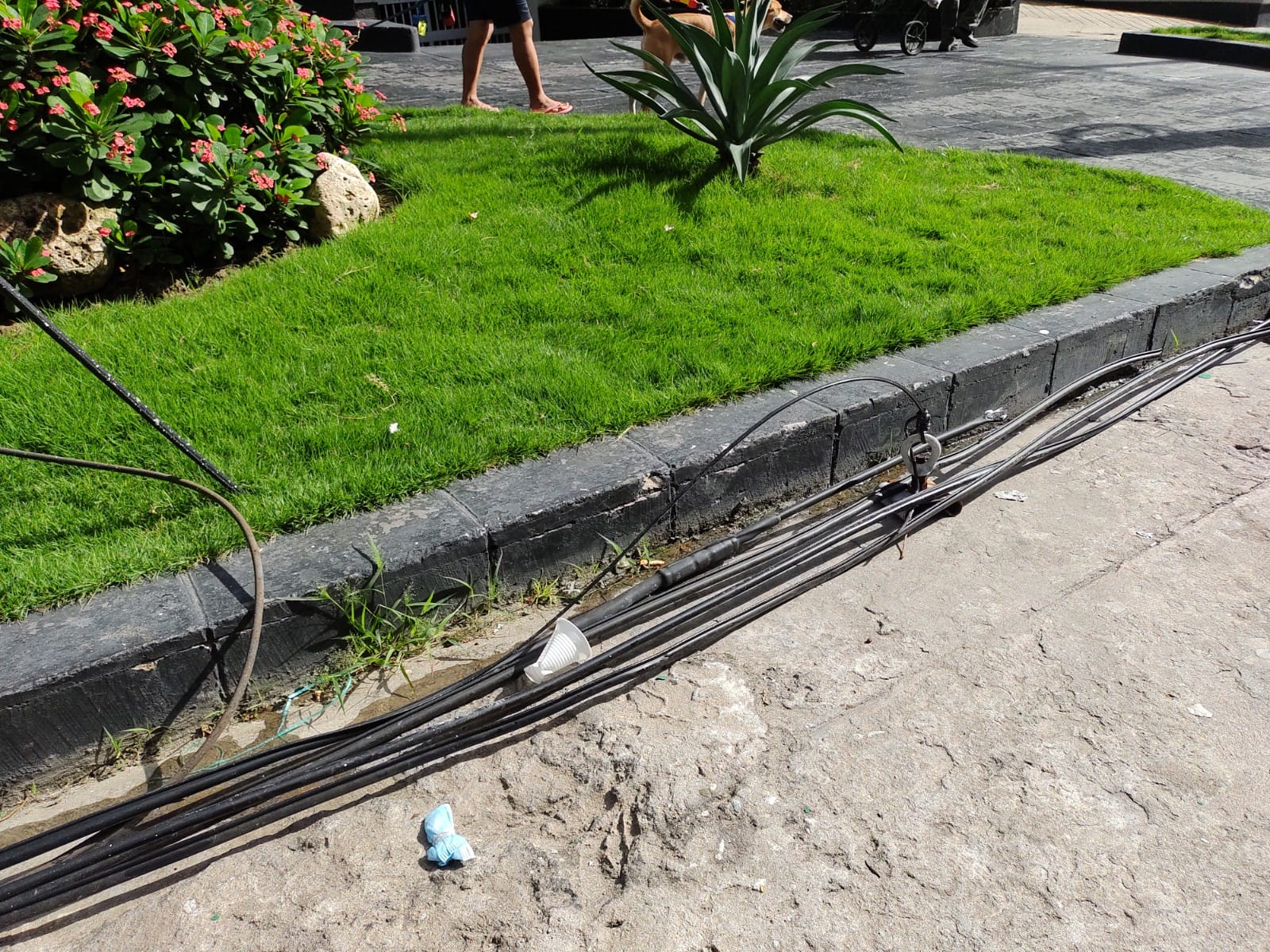 Algunos de los cables que quedaron por el suelo en la carrera 56 entre calles 79 y 80.