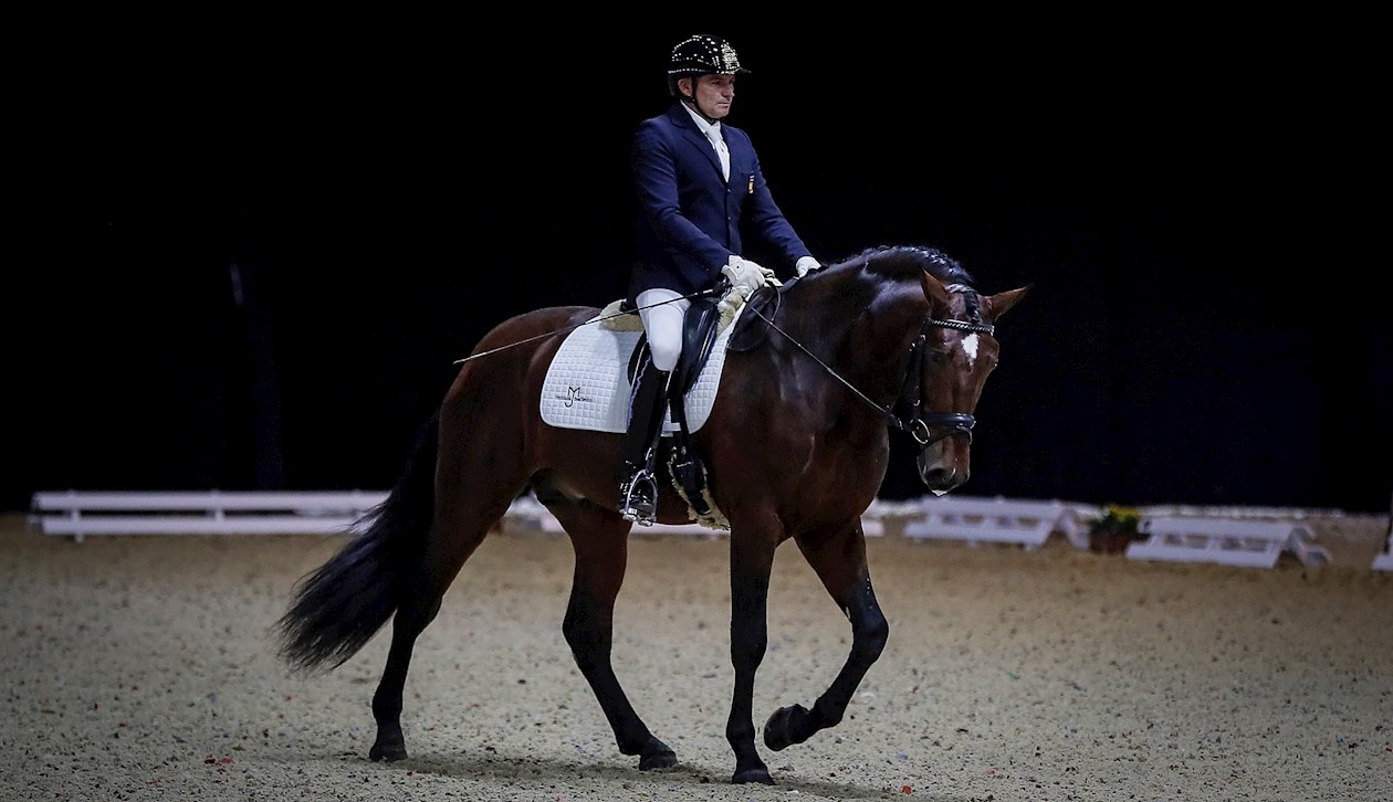 Uno de los caballos participantes de la 30ª edición del Salón Internacional del Caballo, SICAB 2021.
