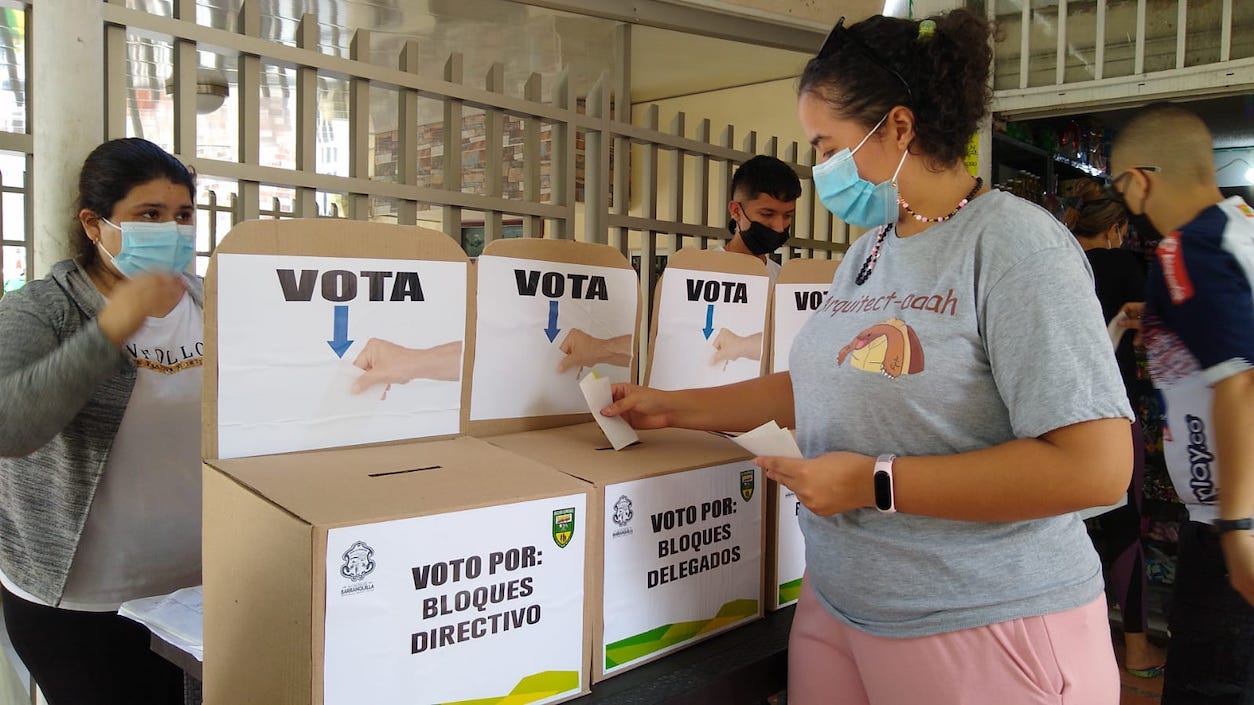 Losa electores en la fiesta democrática.
