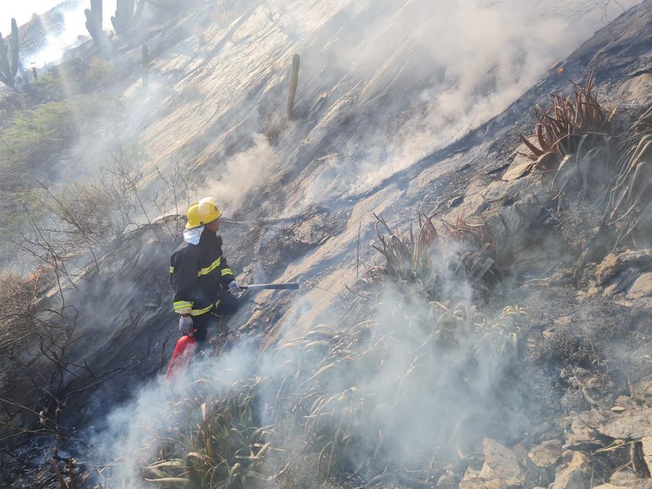 Cuerpo de Bomberos actuando sobre el terreno.