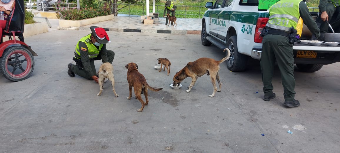 Cena navideña para perros de calle en Sabanagrande y Santo Tomás