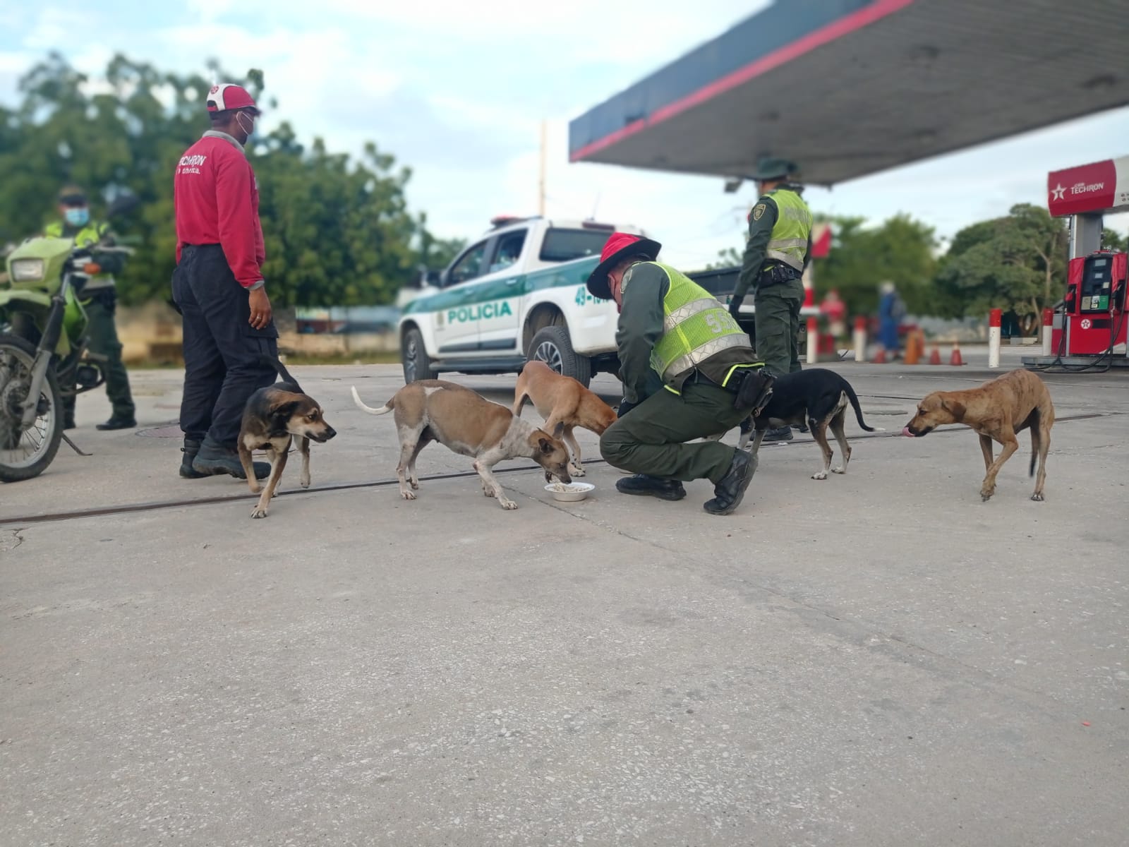 Cena navideña para perros de calle en Sabanagrande y Santo Tomás