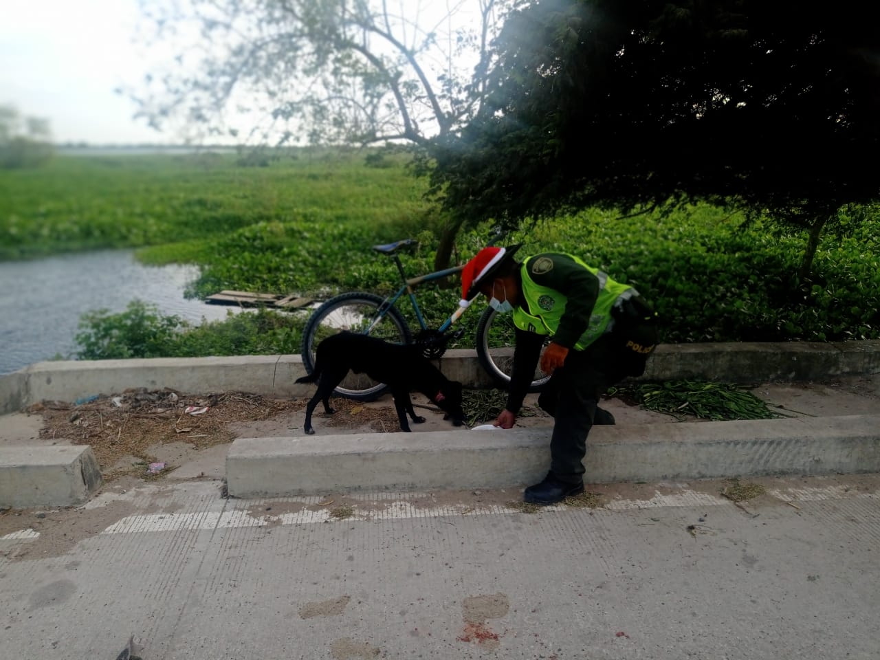 Cena navideña para perros de calle en Sabanagrande y Santo Tomás