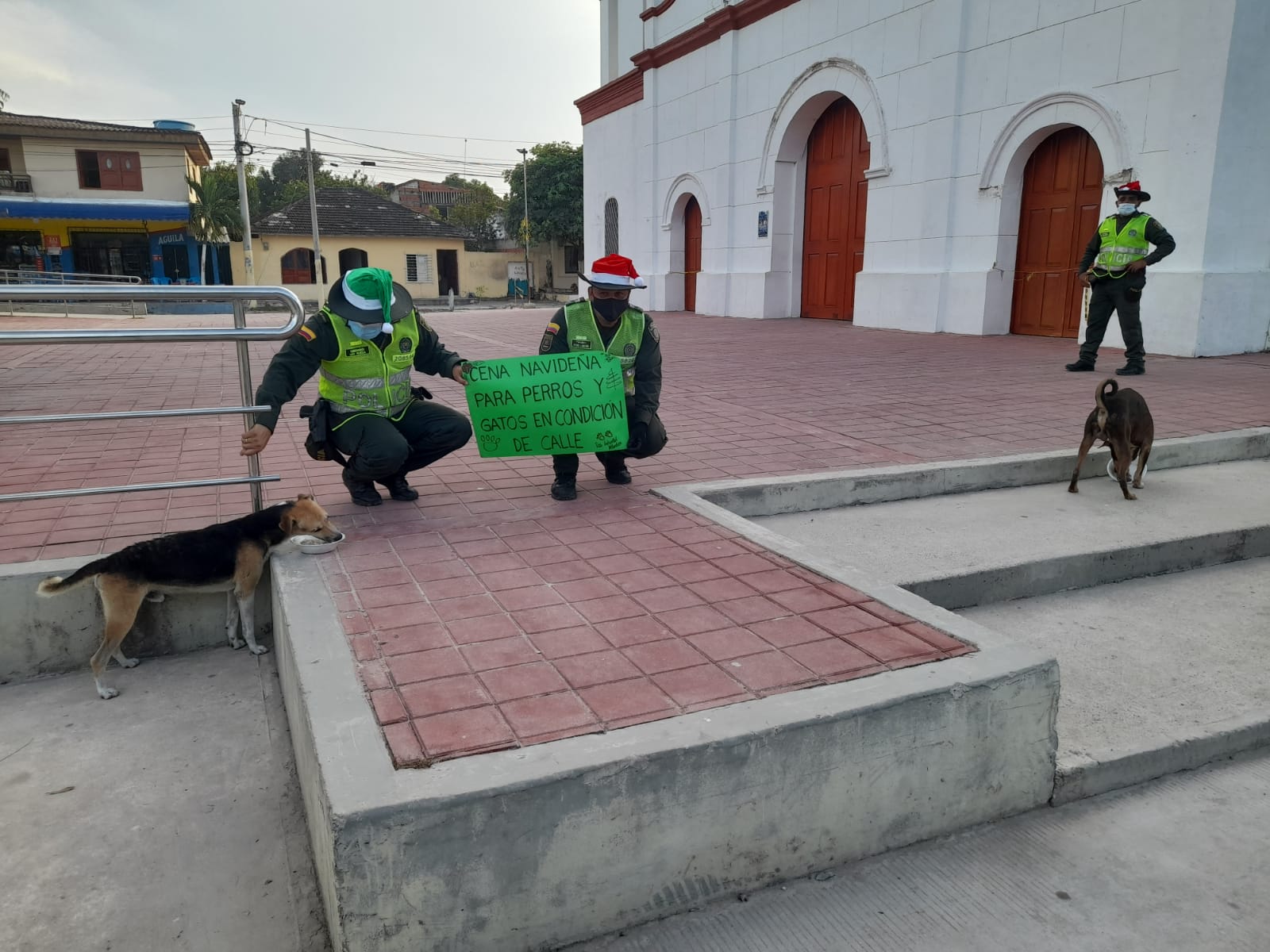 Cena navideña para perros de calle en Sabanagrande y Santo Tomás