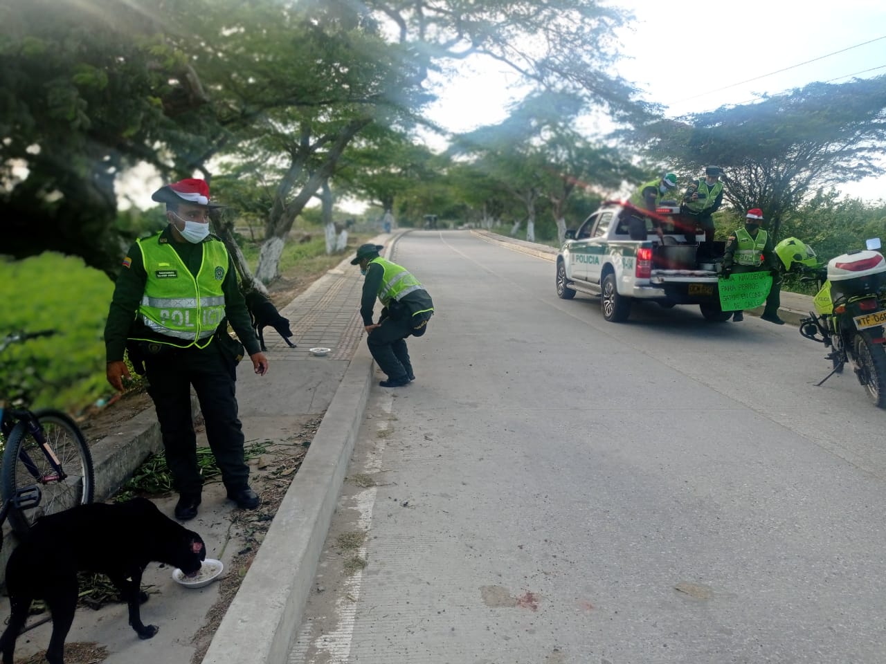 Cena navideña para perros de calle en Sabanagrande y Santo Tomás