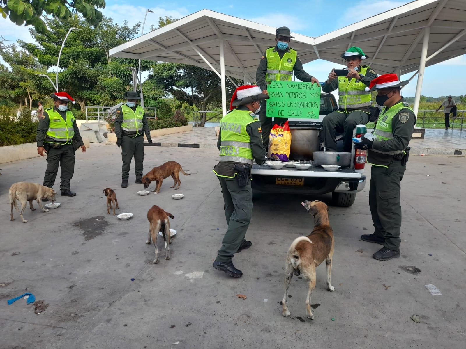 Cena navideña para perros de calle en Sabanagrande y Santo Tomás