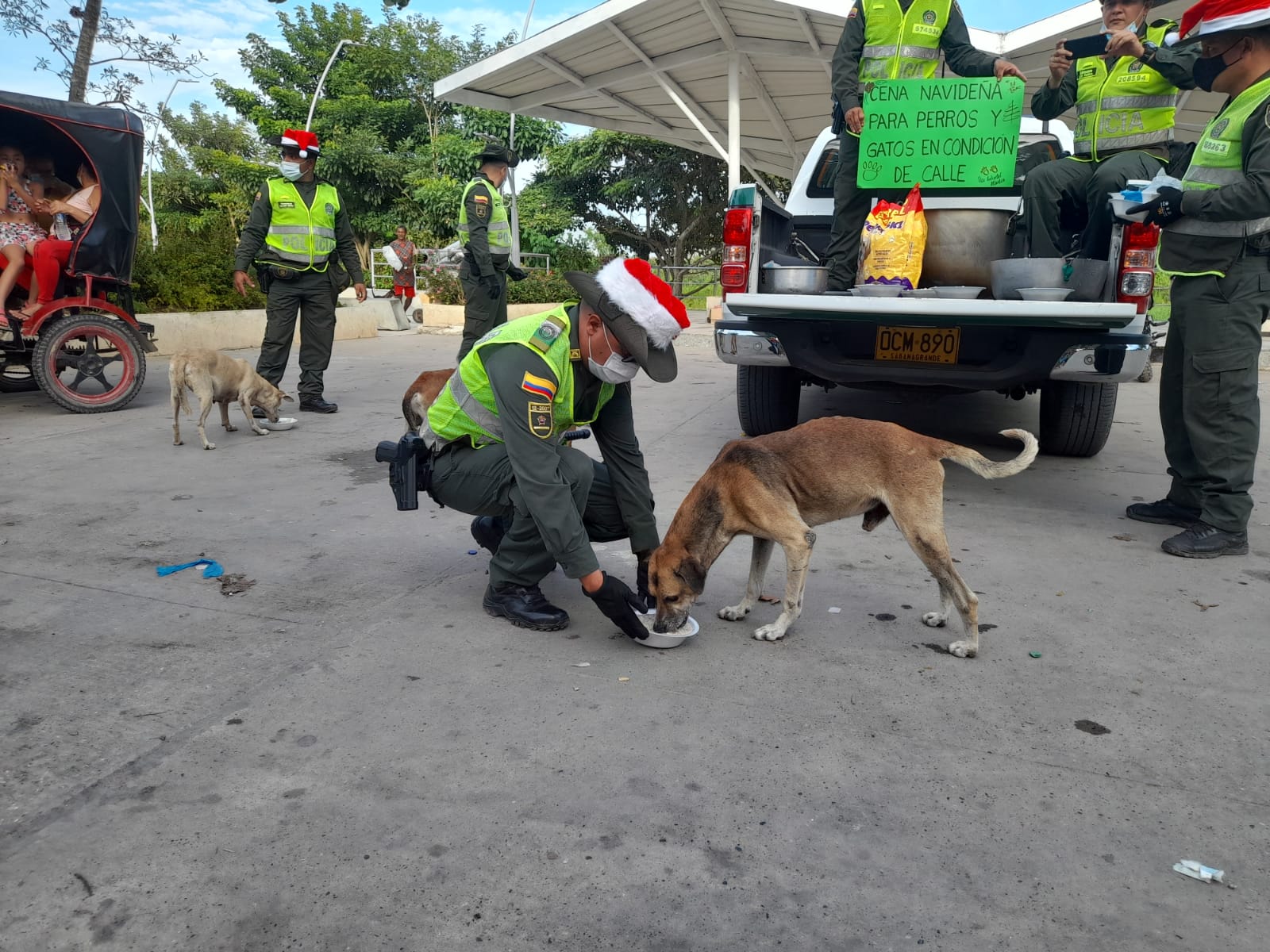 Cena navideña para perros de calle en Sabanagrande y Santo Tomás
