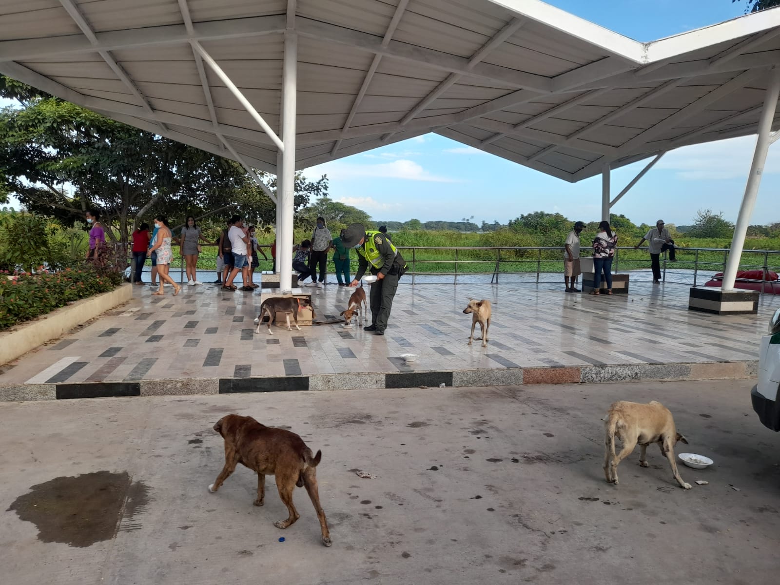 Cena navideña para perros de calle en Sabanagrande y Santo Tomás