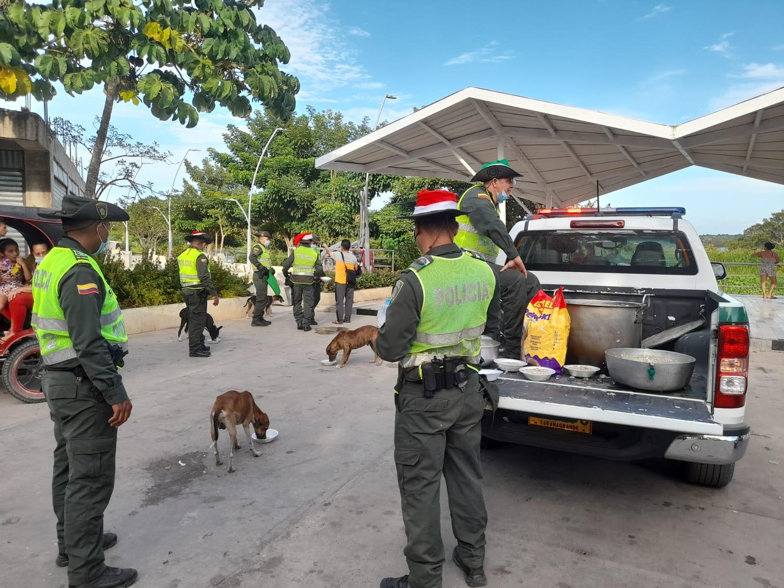 Cena navideña para perros de calle en Sabanagrande y Santo Tomás