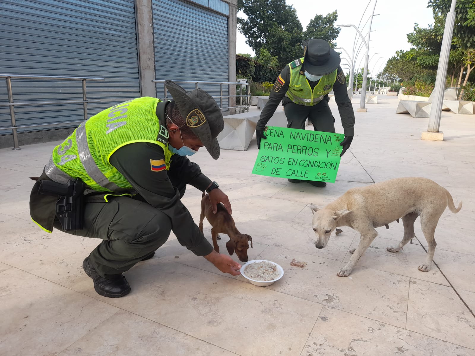 Cena navideña para perros de calle en Sabanagrande y Santo Tomás