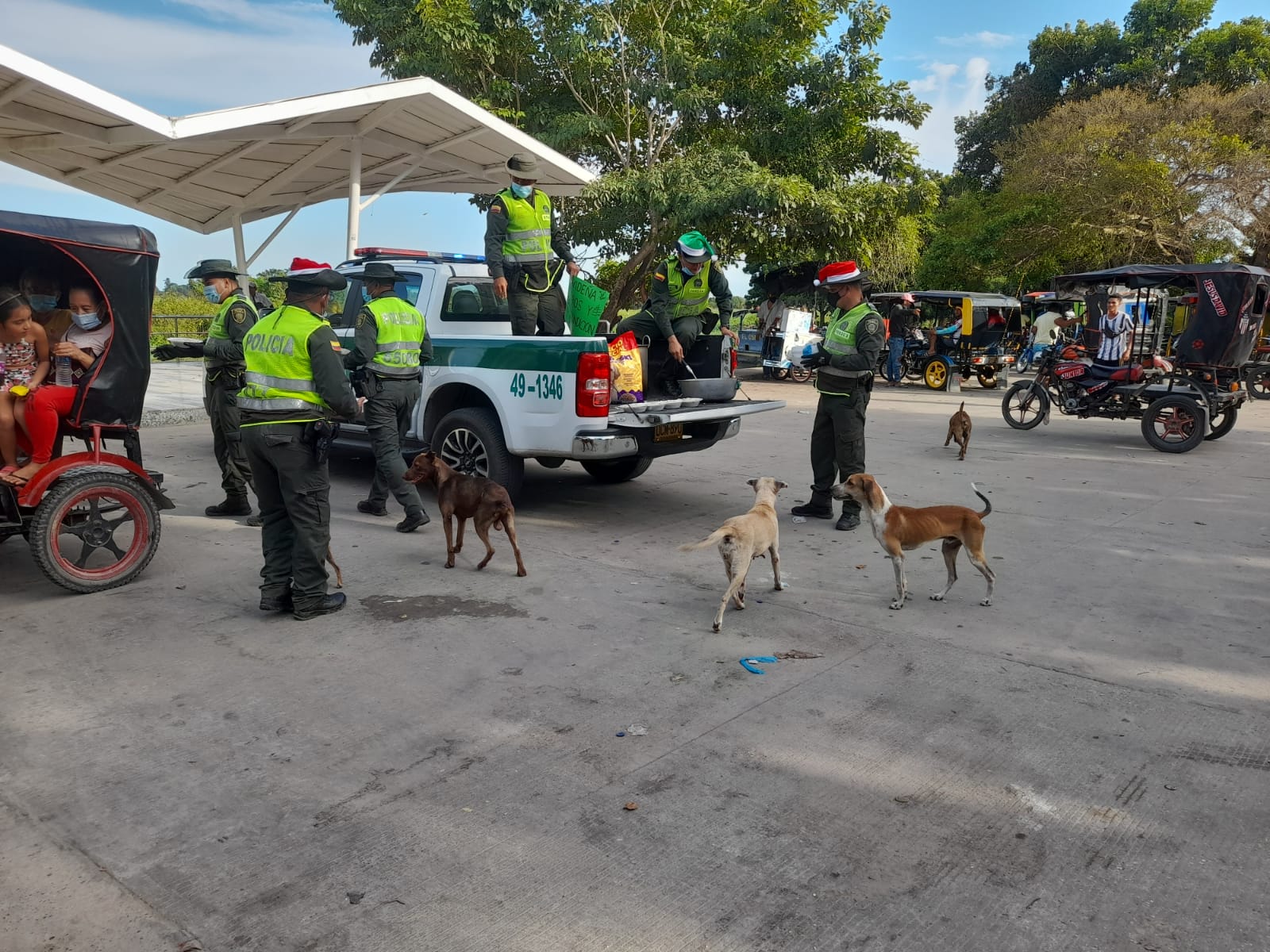 Cena navideña para perros de calle en Sabanagrande y Santo Tomás