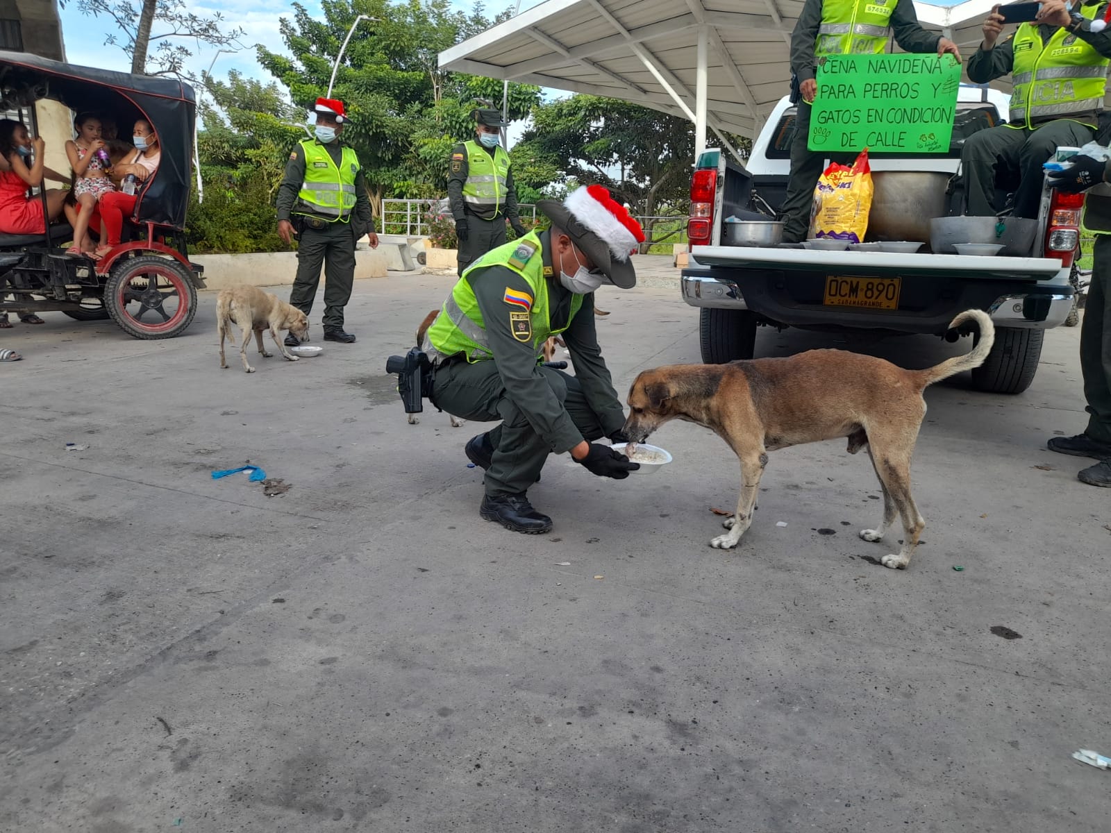 Cena navideña para perros de calle en Sabanagrande y Santo Tomás