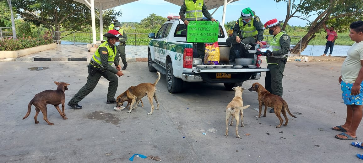 Cena navideña para perros de calle en Sabanagrande y Santo Tomás